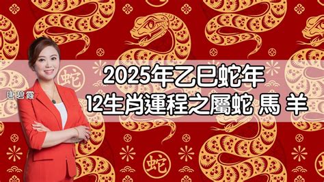 2025蛇年運程|2025蛇年運程｜12生肖運勢全面睇+犯太歲4生肖+開運大